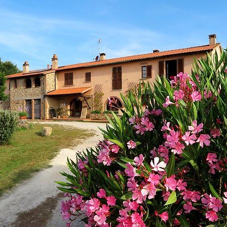 Casa Vacanze Valdicciola Suvereto Esterno foto