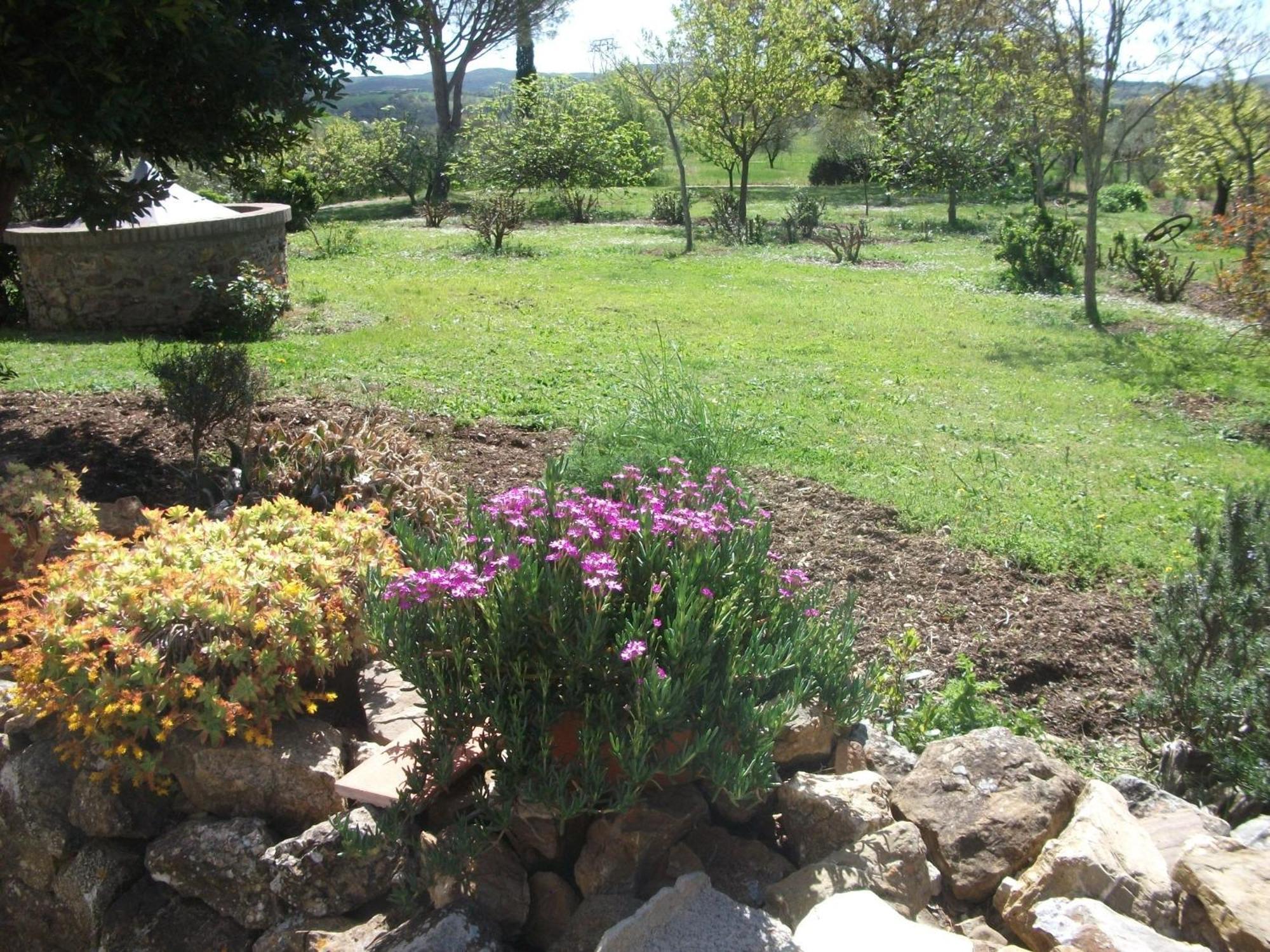 Casa Vacanze Valdicciola Suvereto Esterno foto
