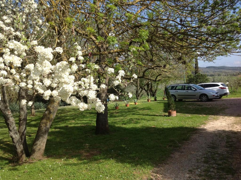 Casa Vacanze Valdicciola Suvereto Esterno foto